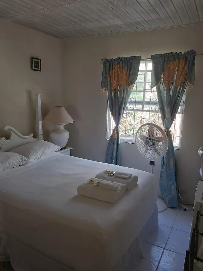 Sue'S Homestay Christ Church